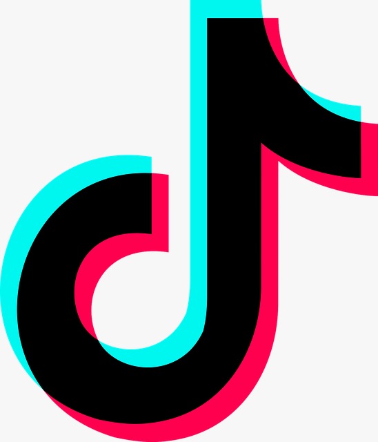 TikTok Ads
